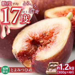 yӂ邳Ɣ[Łzy2025N8{菇zYuh ԉ Ƃ݂Ђ 300g×4pbN gx/썑t[c[BGAG012]  C`WN ʕ ʕ  t[c 