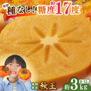yӂ邳Ɣ[Łzy2025N10{菇zYuh H` 3kg(8-12) gx/썑t[c[BGAG016] t[c ʕ  `  Ȃ ˂Ȃ H ӂ邳Ɣ[
