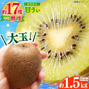yӂ邳Ɣ[Łzy2025N10{菇zYuh LEC uÂv1.5kg(12-15) gx/썑t[c[BGAG017] LEBt[c ʕ t[c fU[g  ʎ 