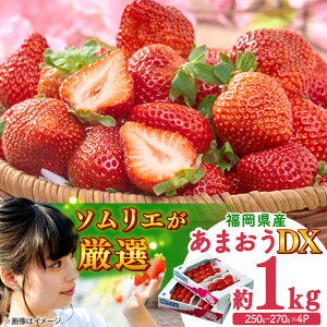 yӂ邳Ɣ[Łzy2026N2{菇zt[c\GI񂾁ytz܂DX(fbNX)4pbN gx/썑t[c[BGAG019] ʕ t[c fU[g  C`S 