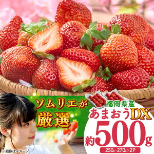 yӂ邳Ɣ[Łzy2025N12{菇zt[c\GI񂾁y~z܂DX(fbNX)2pbN gx/썑t[c[BGAG020] ʕ t[c fU[g  C`S 