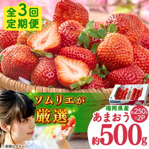 yӂ邳Ɣ[ŁzyS3ցzY ~܂ 250g×2P gx/썑t[c[BGAG041] ʕ t[c fU[g  C`S  ܂ lC  ӂ邳Ɣ[