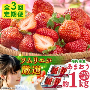 yӂ邳Ɣ[ŁzyS3ցzY ~܂ 250g×4P gx/썑t[c[BGAG042] ʕ t[c fU[g  C`S  ܂ lC  ӂ邳Ɣ[