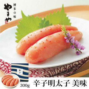 yӂ邳Ɣ[Łz ܂  hqq 300g gx/()܂R~jP[VY[BGAH003] q ߂񂽂 ߂񂽂 n т̂   蕨 Mtg yY   V
