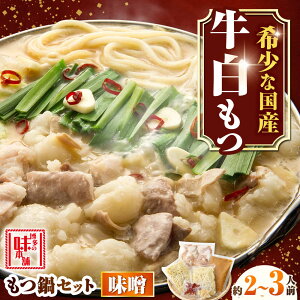 yӂ邳Ɣ[ŁzyIYgpz ݂ 2-3lO gx/̖{[BGAI022]