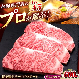 yӂ邳Ɣ[ŁzyS6ցza T[CXe[L 3 gx/vcX[BGAM082]