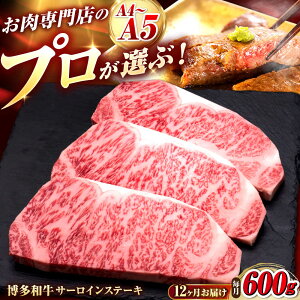 yӂ邳Ɣ[ŁzyS12ցza T[CXe[L 3 gx/vcX[BGAM083]