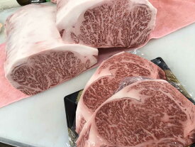 【ふるさと納税】【A4〜A5】 博多和牛 サーロインステーキ 2枚 (計500g) 吉富町/株式会社チクゼンヤ[BGAP005] 牛肉 肉 お肉 和牛 黒毛和牛 国産 サーロイン ステーキ ステーキ肉 霜降り 霜降り肉 赤身 赤身肉 部位 冷凍 焼肉 焼き肉 贈答用 ギフト 肉ギフト 人気 おすすめ