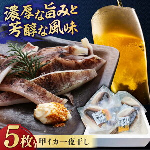 yӂ邳Ɣ[Łzy2025N5菇z bCJ 銱 5 gx/gxƋg [BGAW001]  CJ b  Ђ    ȒP   ܂ Hi  