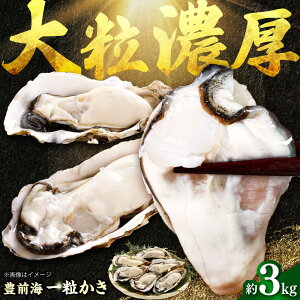 yӂ邳Ɣ[Łzy2026N1{菇z LOC ꗱ 3kg gx/쐅Y[BGBD002] y  JL kt k Mp JLtC ytC Z BBQ Y