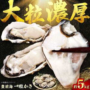 yӂ邳Ɣ[Łzy2026N1{菇z LOC ꗱ 5kg gx/쐅Y[BGBD003] y  JL kt k Mp JLtC ytC Z BBQ Y