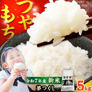 yӂ邳Ɣ[Łzyߘa7Nxz  Y  5kg gx/ЃcN[lgx[BGBN001]  R     ߂  V 5kg  ӂ邳Ɣ[