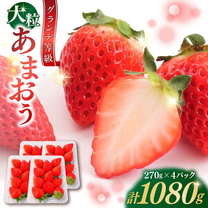 yӂ邳Ɣ[Łzy2026N1{菇z ܂  1080g (270g×4pbN) gx/HSP-eNm[BGBQ001] ʕ t[c fU[g C`S  Xgx[ lC  Â 