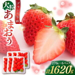 yӂ邳Ɣ[Łzy2026N3{菇z ܂  1620g (270g×6pbN) gx/HSP-eNm[BGBQ002]