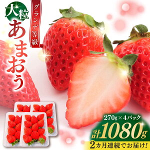 yӂ邳Ɣ[ŁzyS2ցzy2026N1{菇z ܂  1080g (270g×4pbN) gx/HSP-eNm[BGBQ003] ʕ t[c fU[g C`S  Xgx[ lC
