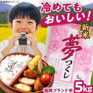 yӂ邳Ɣ[Łzyߘa7NxYzV  5kg  LЃt@C[RN/gx[BGBV001]