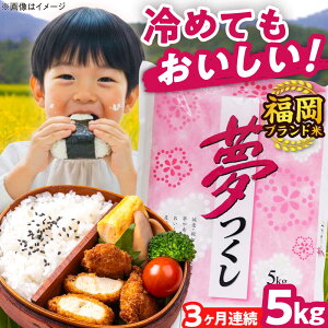 yӂ邳Ɣ[ŁzyS3ցzyߘa7NxYzV  5kg  LЃt@C[RN/gx[BGBV002]