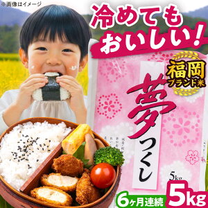 yӂ邳Ɣ[ŁzyS6ցzyߘa7NxYzV  5kg  LЃt@C[RN/gx[BGBV003]