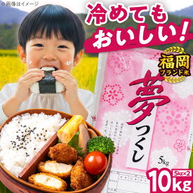 【ふるさと納税】【令和7年度産】夢つくし 10kg 精米 有限会社ファインリョーコク/吉富町[BGBV004]