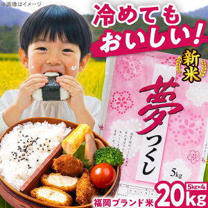 yӂ邳Ɣ[Łzyߘa7NxYzV  20kg  LЃt@C[RN/gx[BGBV007]