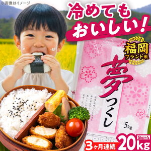 yӂ邳Ɣ[ŁzyS3ցzyߘa7NxYzV  20kg  LЃt@C[RN/gx[BGBV008]