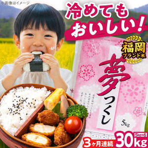 yӂ邳Ɣ[ŁzyS3ցzyߘa7NxYzV  30kg  LЃt@C[RN/gx[BGBV011]