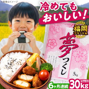 yӂ邳Ɣ[ŁzyS6ցzyߘa7NxYzV  30kg  LЃt@C[RN/gx[BGBV012]