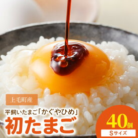 【ふるさと納税】卵 40個 かぐやひめ 初たまご とろける コク 旨味 国産 福岡上毛町産 鶏卵 平飼い 放し飼いたまご 生卵 たまごかけご飯 卵黄 卵白 栄養 味 濃厚 お取り寄せ お取り寄せグルメ 食品 食べ物 ご飯のお供 築上鶏卵株式会社 冷蔵 送料無料