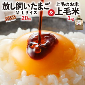 【ふるさと納税】卵 20個 放し飼い かぐやひめ 米 1kg セット 国産 福岡上毛町産 鶏卵 放し飼いたまご 生卵 上毛米 たまごかけご飯 炊きたてのご飯 卵黄 卵白 お取り寄せ お取り寄せグルメ 食品 食べ物 ご飯のお供 冷蔵 福岡県 上毛町 送料無料