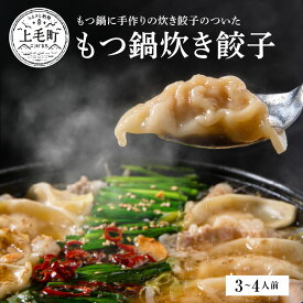 【ふるさと納税】ぶどうの樹 九州産和牛マル腸 もつ鍋炊き餃子 3～ 4人前 お取り寄せ お取り寄せグルメ 福岡県 上毛町 送料無料