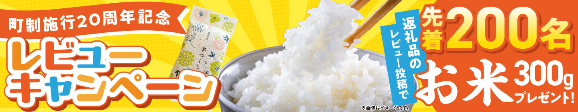 レビューキャンペーン