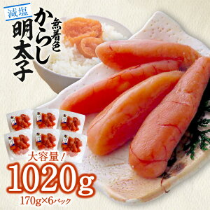 yӂ邳Ɣ[Łz25Jbg  F hqq 170g×6p v 1020g q  
