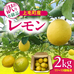 yӂ邳Ɣ[ŁzђY  󂠂 Bi 2kg у Y  Ȃ _  u₩  ʏ` ` AR[ W[X  َq Hi  ݕ p ƒp 