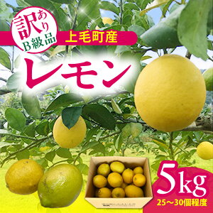 yӂ邳Ɣ[ŁzђY  󂠂 Bi 5kg у Y  Ȃ _  u₩  ʏ` ` AR[ W[X  َq Hi  ݕ p ƒp 