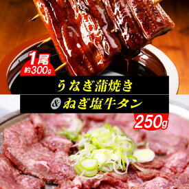 【ふるさと納税】【レビューキャンペーン対象】 うなぎ蒲焼き 約 300g ねぎ塩牛タン 250g セット 肉厚 ふっくら うなぎ 蒲焼き 特製塩だれ ネギ塩 ちょうど食べやすい厚さ 牛タン おかず 牛肉 お取り寄せ お取り寄せグルメ 福岡県 上毛町 送料無料