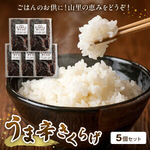 yӂ邳Ɣ[ŁzŘb݁Iܐh炰5Zbg T06004