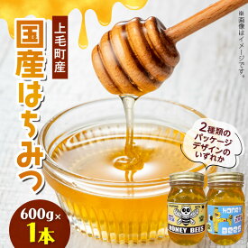【ふるさと納税】国産 はちみつ 上毛町産 600g × 1本 純粋はちみつ 百花はちみつ 百花蜜 上毛蜜 保存食 ヨーグルト パンケーキ ビタミン ミネラル アミノ酸 健康 美容 スキンケア 食品 福岡県 上毛町 お取り寄せ お取り寄せグルメ 送料無料