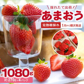 【ふるさと納税】完熟朝採れ 採れたて 出荷 いちご あまおう 1月から順次発送 270g × 4パック 約 1080g ブランドいちご 福岡産 人気 真っ赤 完熟 爽やか 甘み みずみずしい 果物 フルーツ デザート お取り寄せグルメ 冷蔵 らんらんふぁーむ 福岡県 上毛町産 送料無料