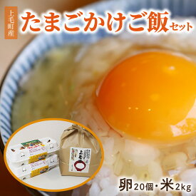 【ふるさと納税】上毛町産 たまごかけ ご飯 セット 卵 20個 米 2kg 専用醤油なし版 ブランド卵 かぐやひめ 生たまご 新鮮 鶏卵 放し飼い卵 お米 精米 ライス 国産 お取り寄せ グルメ お取り寄せグルメ 福岡県 上毛町 送料無料