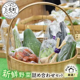 【ふるさと納税】K03603　道の駅厳選！新鮮野菜詰め合わせセット