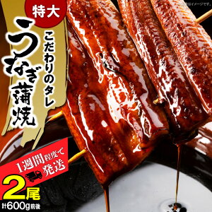 yӂ邳Ɣ[ŁzȂ   2  600g rbOTCY  ^  ӂ W[V[ yp N̓ Ș Ђ܂Ԃ ܂   ܂ ٓ Hi Hו O 