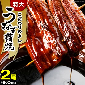 【ふるさと納税】【レビューキャンペーン対象】特大 うなぎ 蒲焼 ビッグサイズ 300g × 2尾 土用 丑の日 うなぎの蒲焼 冷凍 叶え屋 特製 たれ スタミナ満点 晩ごはん おかず お弁当 お取り寄せ 土用丑の日 食品 魚 福岡県 上毛町 送料無料