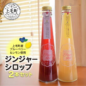 楽天市場 ジンジャーシロップ 水 ソフトドリンク の通販