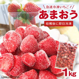 【ふるさと納税】冷凍いちご 1kg あまおう 急速冷凍 新鮮 いちご 加工 おすすめ フレッシュ ジャム スムージー ヨーグルト かき氷 酸味 甘み 冷凍 福岡県 上毛市 ストロベリー フルーツ デザート お取り寄せ お取り寄せフルーツ 送料無料