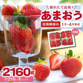 【ふるさと納税】完熟 朝採れ あまおう 約 270g × 8パック 計 2160g ブランド いちご 福岡 代表 品種 小粒 人気 完熟収穫 採れたて あかい 爽やか 甘み 酸味 果物 フルーツ デザート フレッシュ スムージー コンポート ジャム 冷蔵 お取り寄せ 福岡県 上毛町 送料無料