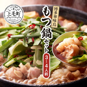 記事番号:36910/アイテムID:425693の画像