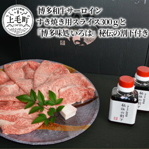 yӂ邳Ɣ[ŁzaT[C@ĂpXCX300gƁu ́v`̊t@KI0603