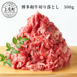 yӂ邳Ɣ[Łza؂藎Ƃ@500g KMP0403