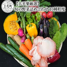 【ふるさと納税】【大平樂厳選】旬の野菜 詰め合わせ 10種程度 旬 野菜 季節野菜 ベジタブル ベジタリアン サラダ 料理 新鮮 ダイエット 野菜セット おすすめ オススメグルメ お取り寄せ 送料無料