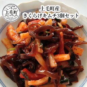 yӂ邳Ɣ[ŁzђY@炰L`3Zbg@T06304